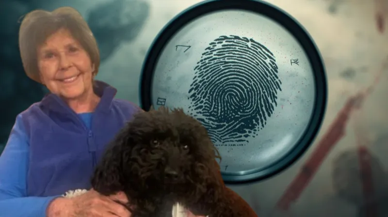 Búsqueda desenfrenada ¿Y DÓNDE ESTÁ NANCY?